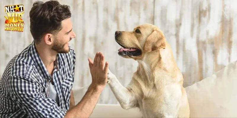 Nằm mơ thấy chó đánh con gì, hên hay xui?